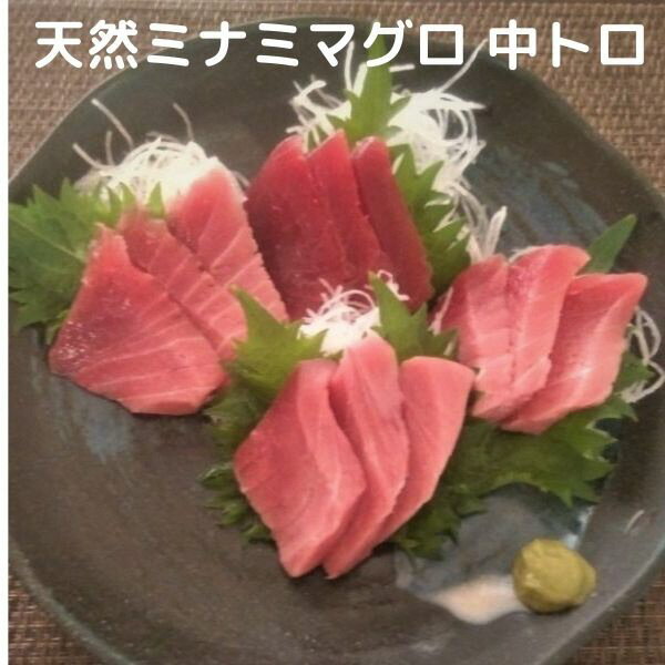 まぐろ 中トロ 赤身 ブロック 刺身 寿司 海鮮丼 天然 南 鮪 600g 入り セット 魚 焼津