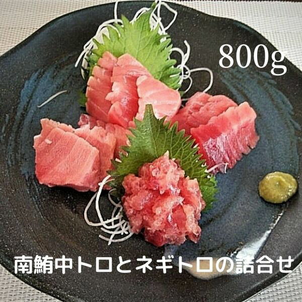 【ふるさと納税】 ネギトロ 中トロ ネギトロ まぐろ 寿司 刺身 海鮮丼 天然 南鮪 詰合せ 約800g入 魚 焼津 a20-313