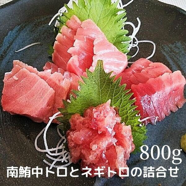 【ふるさと納税】 ネギトロ 中トロ ネギトロ まぐろ 寿司 刺身 海鮮丼 天然 南鮪 詰合せ 約800g入 魚 焼津 a20-313