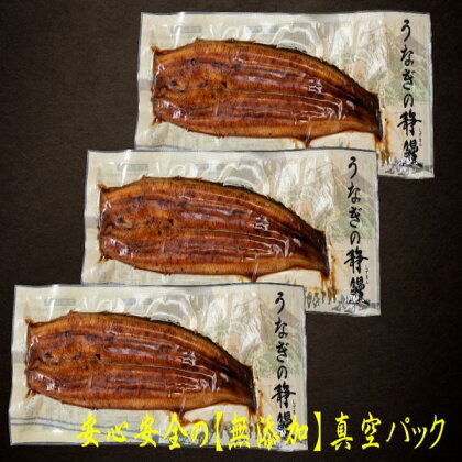 鰻 魚 冷凍 焼津 無添加 真空パック 静岡県産 うなぎ 長焼き 140g 3尾 タレ・山椒付 a22-014