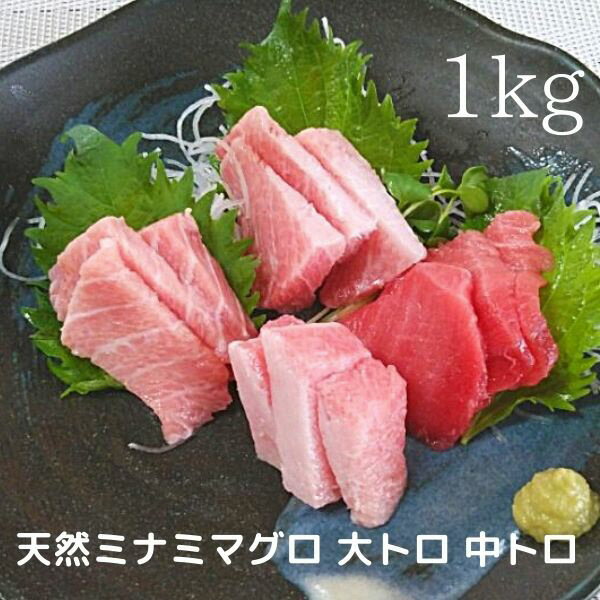 【ふるさと納税】 まぐろ 大トロ 中トロ 赤身 刺身 寿司 海鮮丼 天然 ミナミマグロ ブロック 約1kg 魚 焼津 a30-158