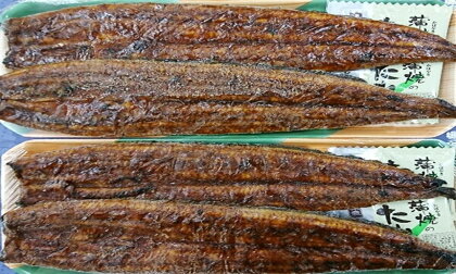 鰻 うなぎ 魚 冷凍 焼津 約160g×4 うなぎ長焼き 4本セット 父の日 ギフト プレゼント a30-182