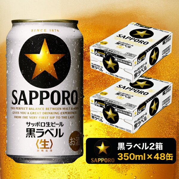 【ふるさと納税】 ビール 黒ラベル サッポロビール サッポロ 焼津 2箱セット 350ml×48本 a30-211