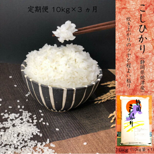 【ふるさと納税】 定期便 新米 米 お米 白米 焼津 10kg×3回 コシヒカリ【定期便 3回】 計30kg a55-002