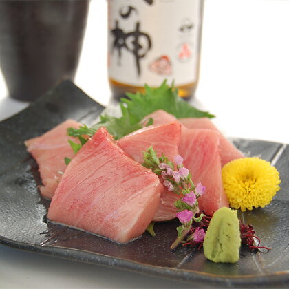 卸用天然南まぐろ中トロプレート2kg