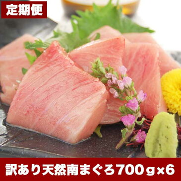 【ふるさと納税】 定期便 訳あり まぐろ 中トロ 魚 冷凍 焼津 南鮪 刺身 約700g×6回 規格外 【定期便6回】 a80-036