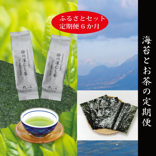 【ふるさと納税】 訳あり 定期便 お茶 海苔 セット 焼津 【定期便6回】 掛川深蒸し茶 九州有明産 焼のり 詰合せ a85-001