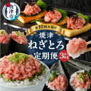 【ふるさと納税】 定期便 ネギトロ まぐろ 魚 冷凍 焼津 天然 ネギトロ 150g×20袋 小分け 【定期便10回】b300-013