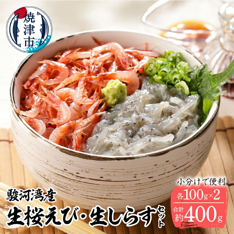 シラス 生シラス 生桜エビ 魚 冷凍 焼津 100g×計4パック 2種 セット 小分け 真空パック 海鮮丼に 刺身に