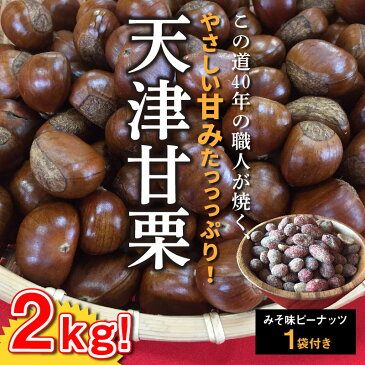 【ふるさと納税】この道40年の職人が焼く、やさしい甘みたっっっぷり!「天津甘栗」2kg　H045-004