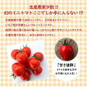 【ふるさと納税】 高評価☆4.69 トマト嫌いも食べられる トマトベリー お試し 約 800g 甘い いちご型 フルーツミニトマト ミニトマト トマト 肉厚 薄皮 完全木熟栽培 リコピン お取り寄せ お取り寄せグルメ 野菜 産地直送 長田農園 愛知県 碧南市 送料無料 3