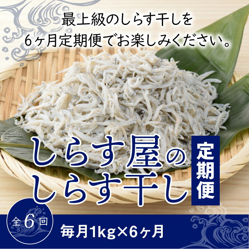 【ふるさと納税】定期便 しらす 1kg×6ヶ月 しらす屋のしらす干し