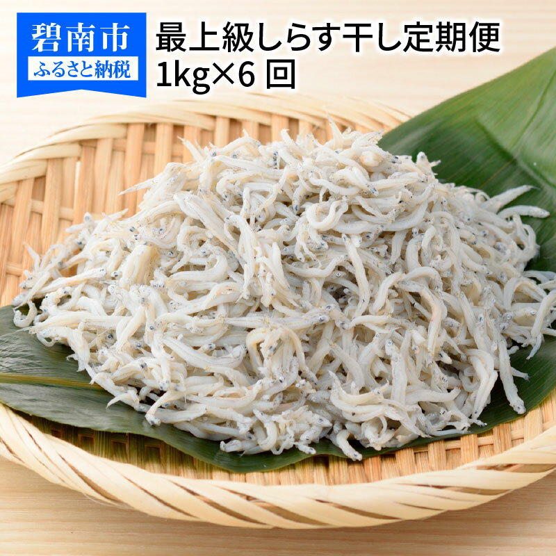 定期便 6回 美味しいしらすを毎月お届け 最上級 しらす屋のしらす干し 500g × 2パック × 6回 しらす 伊勢湾 天日塩 カネク水産 冷凍 大浜漁港 魚介 小分け ご飯のお供 しらす干し お取り寄せ 国産 愛知県 碧南市 送料無料