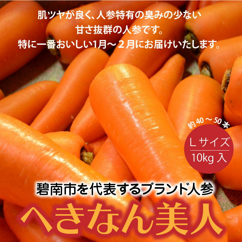 【ふるさと納税】碧南市 代表 ブランド 人参 へきなん美人 にんじん 10kg 野菜 離乳食 にんじんジュース 愛知県 送料無料