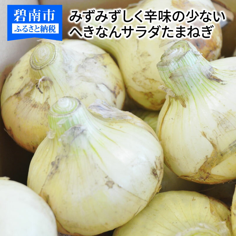 【ふるさと納税】玉ねぎ Lサイズ 10kg みずみずしい 辛味の少ない サラダたまねぎ 期間限定 産地直送 タマネギ オニオン 常備野菜 保存野菜 送料無料