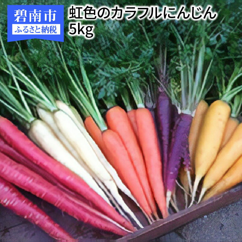 期間限定 野菜 きのこ H022 007 愛知県碧南市スティックや輪切りでサラダにするだけで華やかに 贈り物にもおススメです ふるさと納税 にんじん 冬の寒さでぎゅっと濃い 虹色のカラフルにんじん