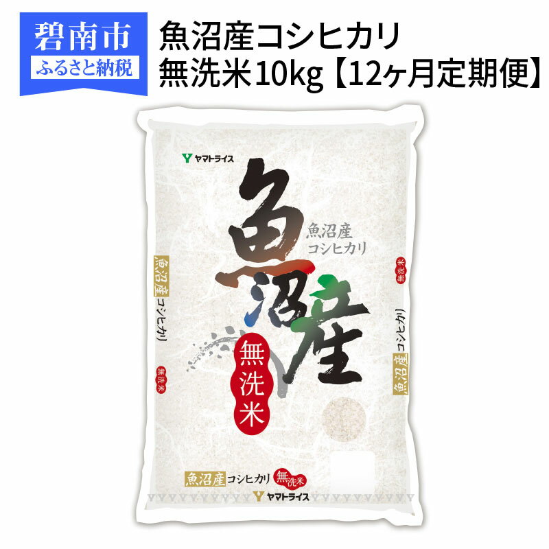 新発売の ふるさと納税 米 定期便 無洗米 10kg 12ヶ月 新潟県魚沼産 コシヒカリ 安心安全なヤマトライス H074 109 高速配送 Www Vinayaabeautystudio Com