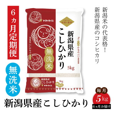 【ふるさと納税】無洗米 定期便 5kg 6か月 新潟県産　コシヒカリ 下旬発送 安心安全なヤマトライス H074-170