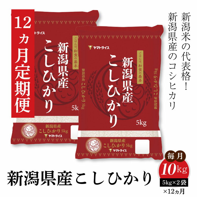 【ふるさと納税】米 定期便 12ヶ月 10kg 5kg×2袋 コシヒカリ 毎月 1回 下旬発送 新潟県産 安心 安全 ヤマトライス 艶 粘り 甘み 香り お米 弁当 おにぎり 食品 食べ物 常温 お取り寄せ 送料無料 愛知県 碧南市