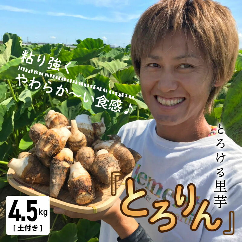 【ふるさと納税】さといも 里芋 とろける里芋 『とろりん』 土付き 4.5kg 国産 冷凍 長期保存 子芋 孫芋 送料無料