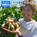 3位! 口コミ数「0件」評価「0」さといも 里芋 とろける里芋 『とろりん』 土付き 4.5kg 国産 冷凍 長期保存 子芋 孫芋 送料無料