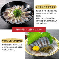 【ふるさと納税】金の〆さば「〆さば界の金メダルを目指して」H021-008