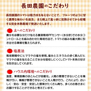 【ふるさと納税】フルーティーな味わいが魅力 フルーツジュエリートマト 2kg ミニトマト トマト 4月〜6月発送 長田農園 甘い 健康 濃厚 完熟 完全木熟栽培 リコピン 色とりどり ジュエリートマト お取り寄せ 愛知県 碧南市 送料無料