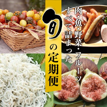 【ふるさと納税】肉・魚・野菜・フルーツすべて詰まった旬の定期便（全12回お届け）　H028-011