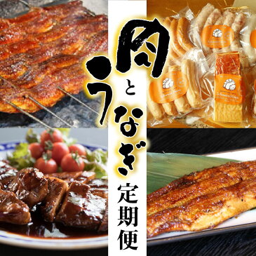 【ふるさと納税】うなぎとお肉≪定期便≫（全12回お届け）H028-014