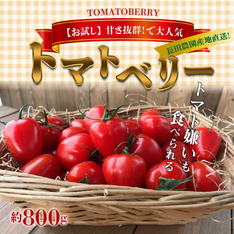 【ふるさと納税】 高評価☆4.69 トマト嫌いも食べられる トマトベリー お試し 約 800g 甘い いちご型 フルーツミニトマト ミニトマト トマト 肉厚 薄皮 完全木熟栽培 リコピン お取り寄せ お取り寄せグルメ 野菜 産地直送 長田農園 愛知県 碧南市 送料無料