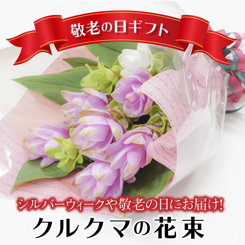 10位! 口コミ数「0件」評価「0」【 2024年 敬老の日 】暑さに強い花　クルクマの花束 花 花束 ギフト プレゼント シルバーウィーク フラワーアレンジメント 送料無料