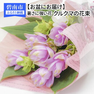 暑さに強い花 クルクマの花束 H092 010 愛知県碧南市 花 観葉植物 お盆にお届け 別送可能なので離れて暮らすご家族へどうぞ 21年 ふるさと納税 鉢花 ふるさと納税 21年 お盆にお届け 暑さに強い花 クルクマの花束 H092 010 愛知県碧南市 花 観葉植物 お盆にお届け 別送可能なので離れて暮らすご家族へどうぞ 21年 ふるさと納税 鉢花 ふるさと納税 21年 お盆にお届け