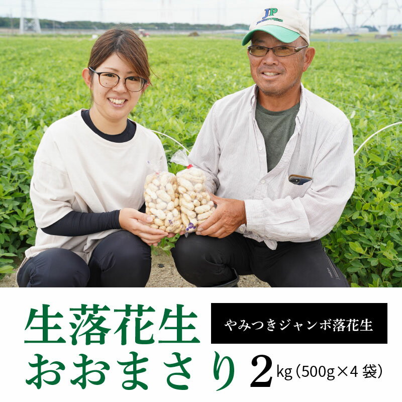 【ふるさと納税】生落花生 おおまさり 2kg とれたて 耕地 美味しい 野菜シリーズ 落花生 産地直送 愛知県 碧南市 送料無料