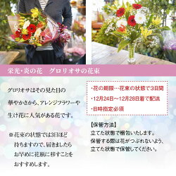 【ふるさと納税】【2021年 クリスマス・お正月】栄光・炎の花　グロリオサの花束(中・花瓶付き)　H092-012 画像2