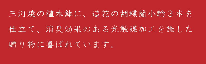 【ふるさと納税】綺麗で丈夫な三河陶器で贈る 光触媒胡蝶蘭小輪3本立（モエギの陶器×白色の花）