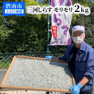 【ふるさと納税】訳あり コロナ支援 モリモリ2kg！バラエティ豊富な三河しらす〜海の仲間たち〜 魚介類 H018-011