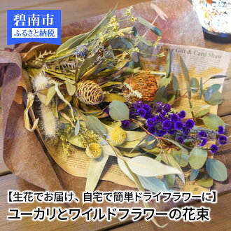 ふるさと納税 花 観葉植物 ユーカリとワイルドフラワーの花束 H092 015 愛知県碧南市 生花の状態でお届けしますので ドライになっていく過程を楽しめます 花束 切花 生花でお届け 自宅で簡単ドライフラワーに ふるさと納税 花 観葉植物 ユーカリとワイルドフラワーの花束 H092 015 愛知県碧南市 生花の状態でお届けしますので ドライになっていく過程を楽しめます 花束 切花 生花でお届け 自宅で簡単ドライフラワーに