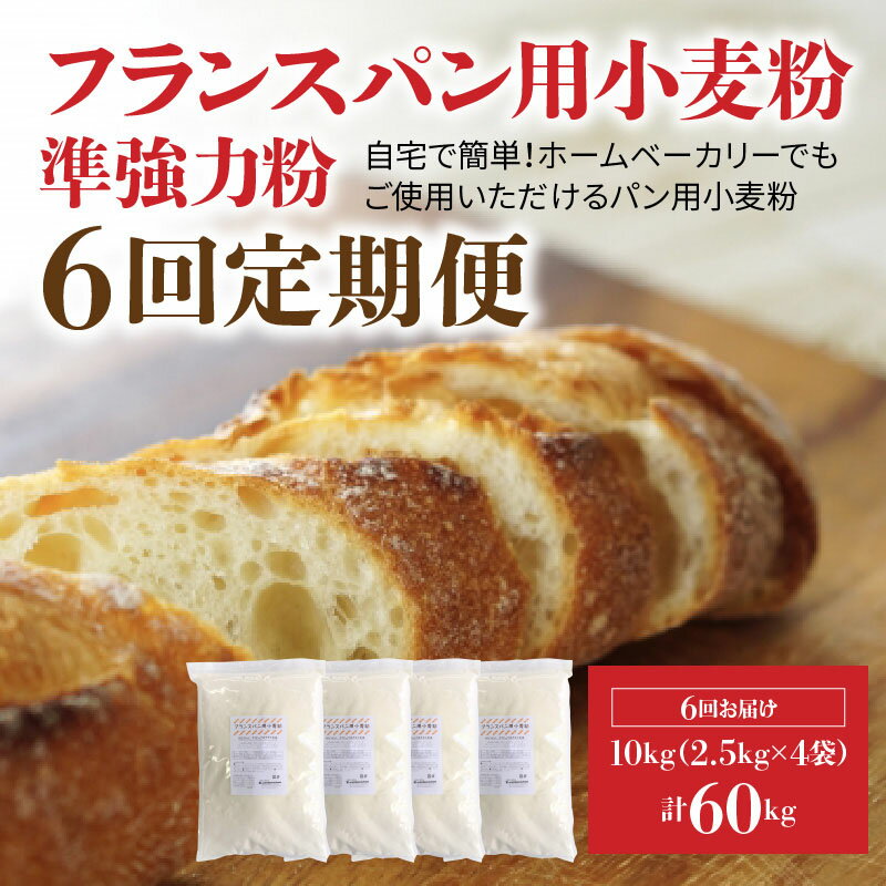 【ふるさと納税】フランスパン用小麦粉 準強力粉 10kg(2.5kg×4袋) 定期便6回