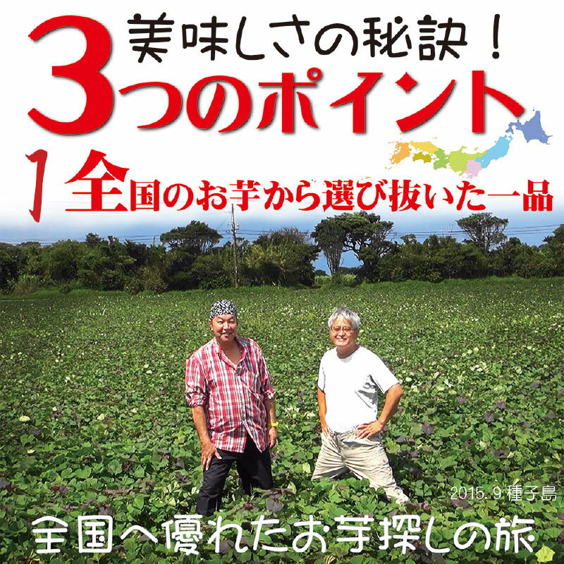 【ふるさと納税】焼き芋 1kg 紅はるか シルクスイート 500g 2パック 蜜たっぷり 冷やし焼き芋 ひえひえ君 芋スイーツ さつまいも 真空パック 甘い 焼き芋専門店 やきいも丸じゅん 愛知県 碧南市 お取り寄せ 冷蔵 送料無料