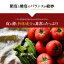 【ふるさと納税】 桃太郎トマト 15〜24玉 この道40年 農家から 直送 完熟 とまと 皮が薄い 野菜 子供 産地直送 愛知県 碧南市 送料無料