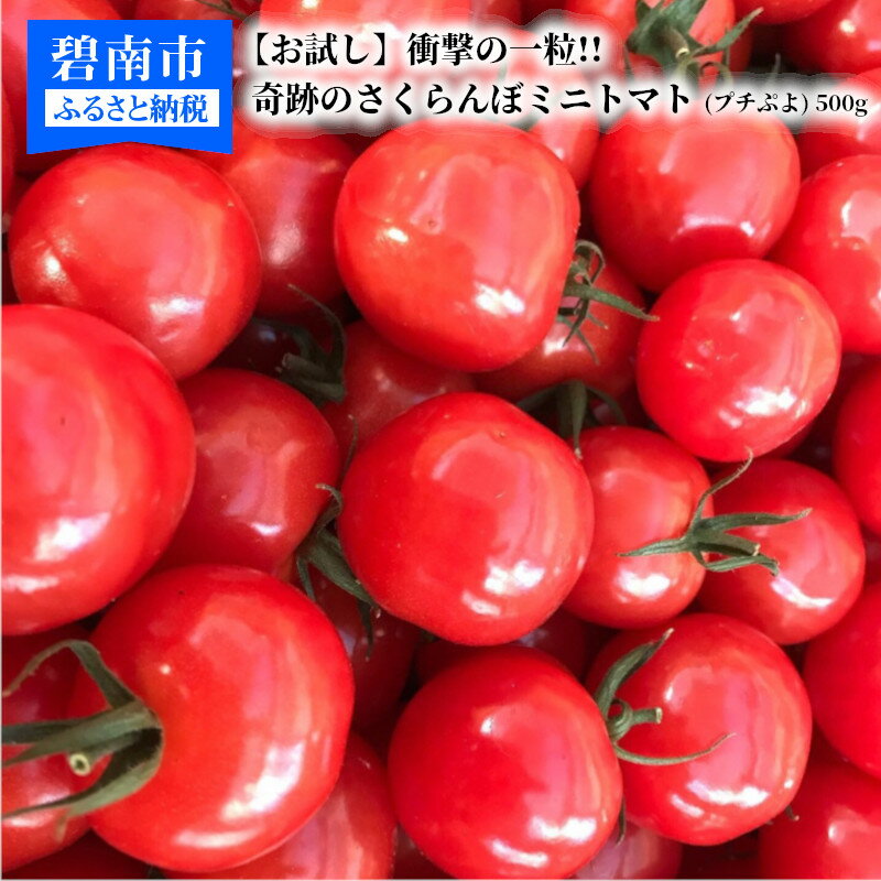 【ふるさと納税】衝撃の一粒 奇跡のさくらんぼミニトマト プチぷよ 250g×2パック 約 500g ミニトマト トマト 新感覚 ツヤツヤ もっちり 食感 薄皮 甘い 濃厚 ぷにぷに やわらかい 完熟 リコピン 長田農園 食品 食べ物 お取り寄せ 送料無料･･･