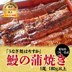 【ふるさと納税】三河一色産 鰻の蒲焼き 1尾 180g以上 うなぎ処はちすか　H026-007 画像1