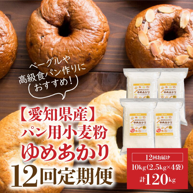 【ふるさと納税】 定期便 12回 小麦粉 愛知県産 ゆめあかり 国産 パン用 強力粉 2.5kg × 4袋 計10kg ピザ 中華麺 ドーナツ アメリカンドック 小麦 もっちり食感 保存に便利 チャック付き 愛知県 碧南市 送料無料