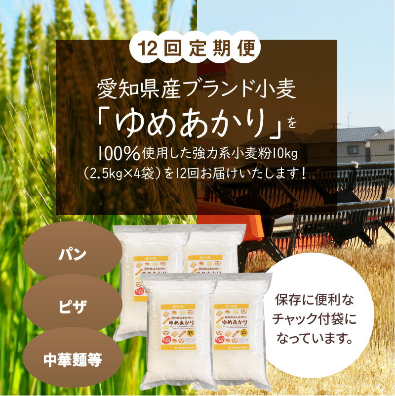 【ふるさと納税】 定期便 12回 小麦粉 愛知県産 ゆめあかり 国産 パン用 強力粉 2.5kg × 4袋 計10kg ピザ 中華麺 ドーナツ アメリカンドック 小麦 もっちり食感 保存に便利 チャック付き 愛知県 碧南市 送料無料