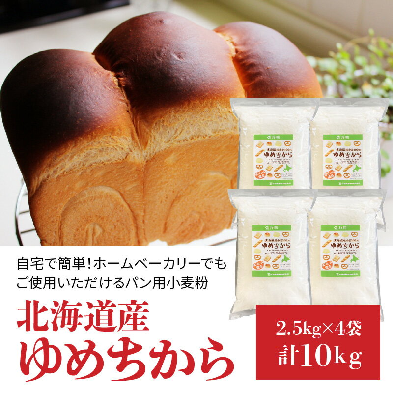 【ふるさと納税】 小麦粉 国産 ゆめちから パン用 強力粉 2.5kg × 4袋 計10kg 超強力小麦粉 保存に便利 チャック付袋 パスタ 中華麺 ドーナツ アメリカンドッグ ホームベーカリー 小笠原製粉 愛知県 碧南市 送料無料