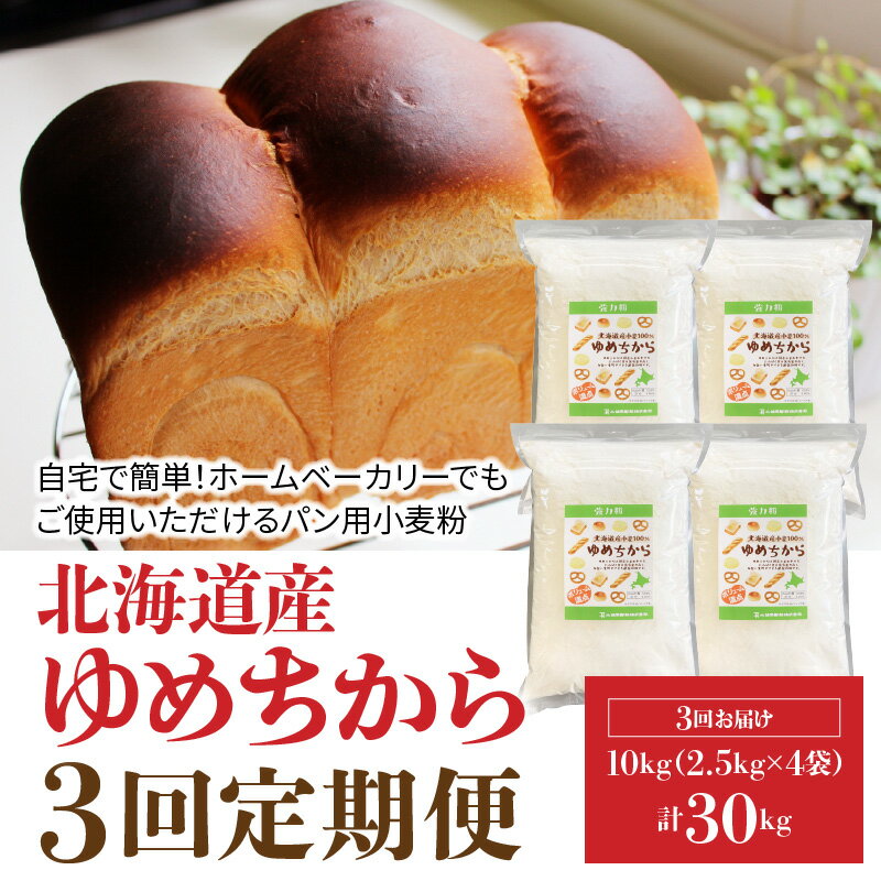 【ふるさと納税】 定期便 3回 小麦粉 国産 ゆめちから パン用 強力粉 2.5kg × 4袋 計10kg 北海道産 パスタ 中華麺 ドーナツ アメリカンドック 小麦 保存に便利 チャック付き 愛知県 碧南市 送料無料