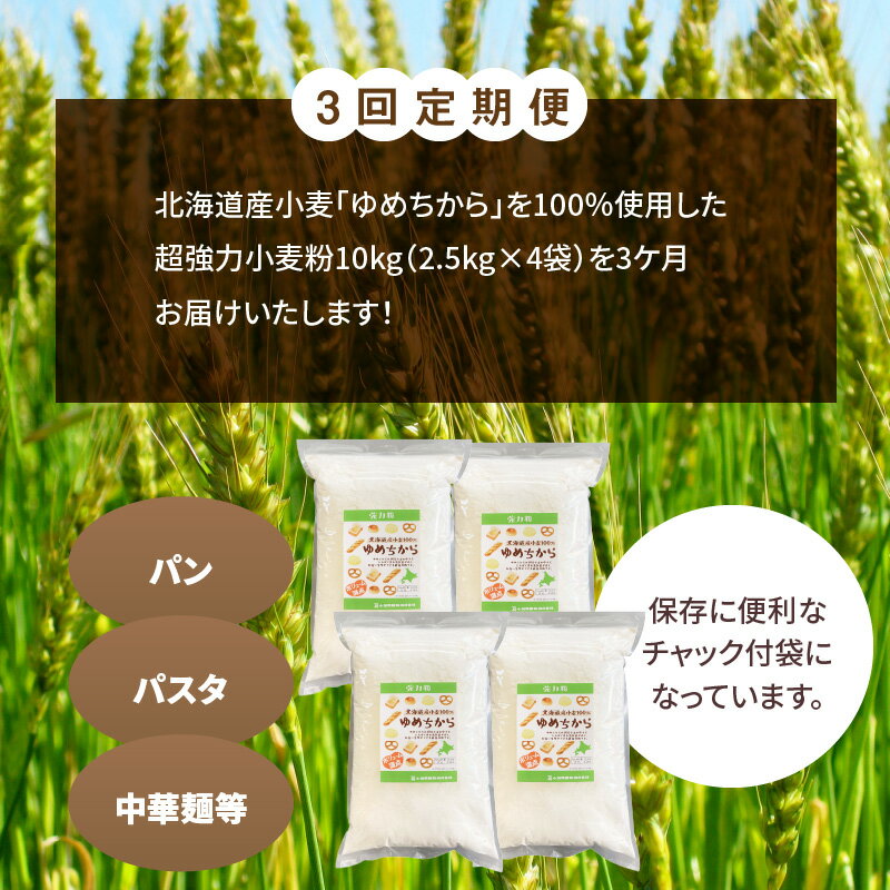 【ふるさと納税】 定期便 3回 小麦粉 国産 ゆめちから パン用 強力粉 2.5kg × 4袋 計10kg 北海道産 パスタ 中華麺 ドーナツ アメリカンドック 小麦 保存に便利 チャック付き 愛知県 碧南市 送料無料