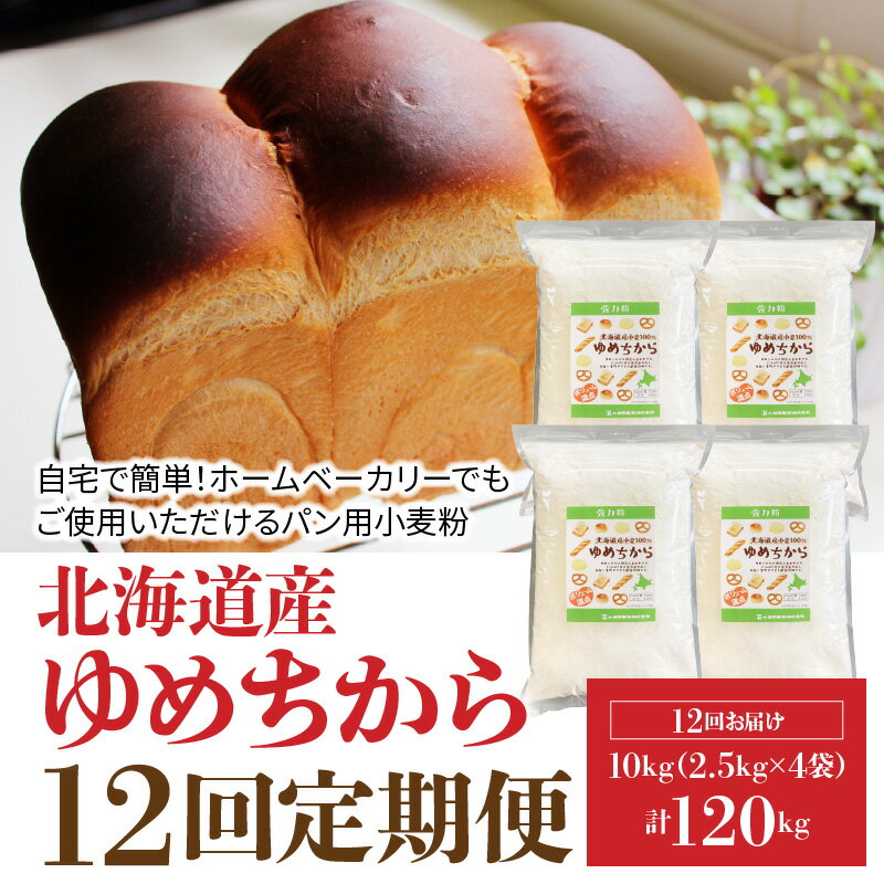 【ふるさと納税】 定期便 12回 小麦粉 国産 ゆめちから パン用 強力粉 2.5kg × 4袋 計10kg パスタ 中華麺 ドーナツ アメリカンドック 小麦 保存に便利 チャック付き 愛知県 碧南市 送料無料