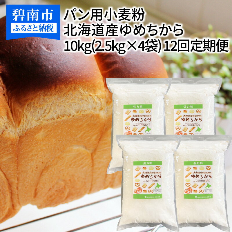【ふるさと納税】 定期便 12回 小麦粉 国産 ゆめちから パン用 強力粉 2.5kg × 4袋 計10kg パスタ 中華麺 ドーナツ アメリカンドック 小麦 保存に便利 チャック付き 愛知県 碧南市 送料無料