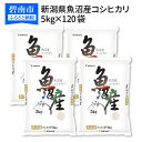 【ふるさと納税】＜安心安全なヤマトライス＞新潟県魚沼産コシヒカリ5kg×120袋　H074-139